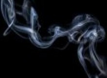 Kwikfynd Drain Smoke Testing
barringha